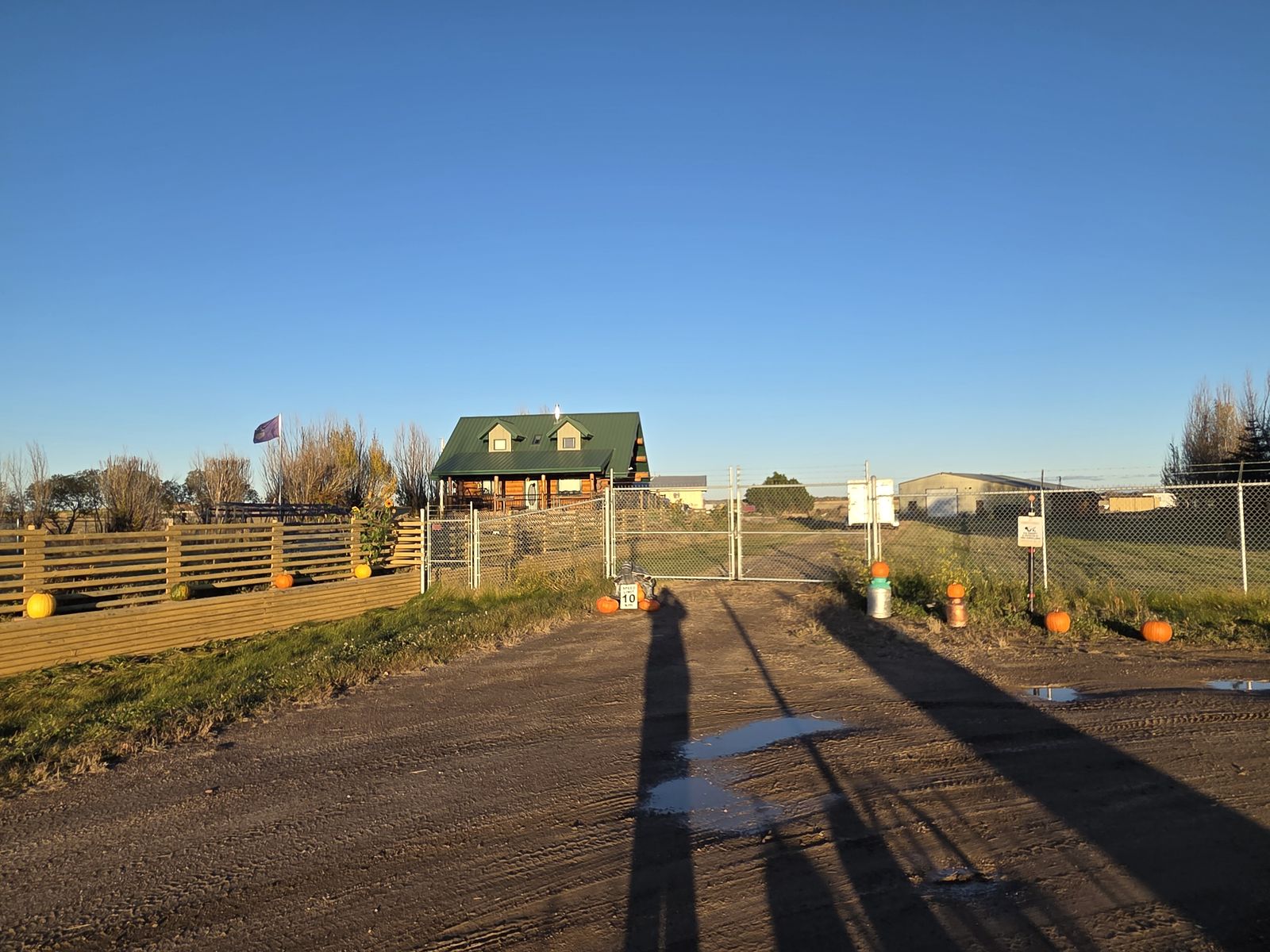 Front gate on a gravel driveway, with a house with a green roof behind it